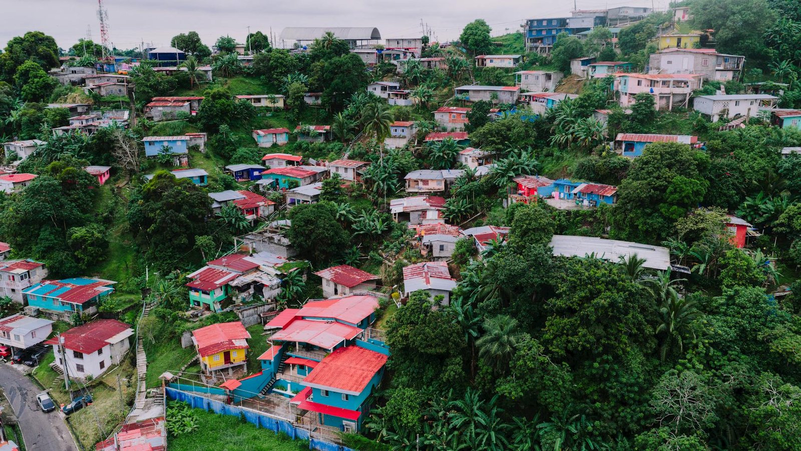 An aerial shot captures vibrant houses amidst lush greenery in Panama City, Panama.
