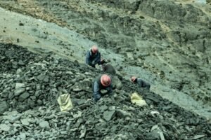 Cobre Panamá: 38 millones de toneladas impulsan el sector minero