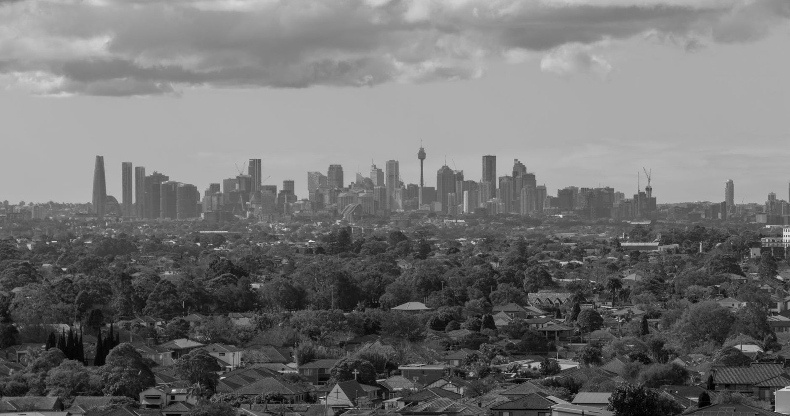 A monochromatic view of Sydney's skyline with urban and natural landscapes.